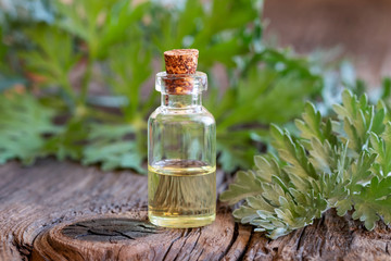 A bottle of wormwood essential oil with fresh Artemisia Absinthium twigs