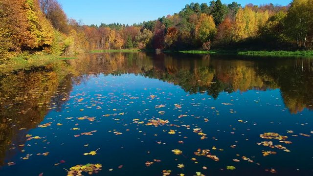 Colorful autumn forest wood on the lake