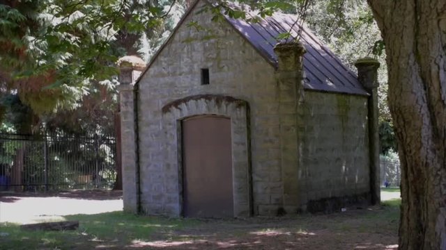 Cemetery crypt in a forest park.