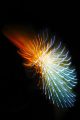 The multi-colored scattering lines, almost salute, the abstract image