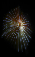 The multi-colored scattering lines, almost salute, the abstract image