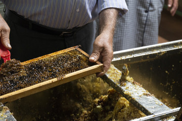 beekeeper scraps honeycombs