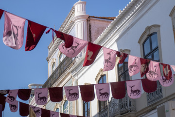 Medieval flags in festival © Mauro Rodrigues