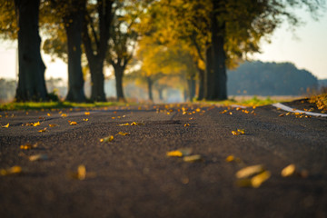 The Autumn © Ben.Photoholic