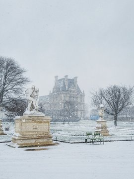Tuileries Garden