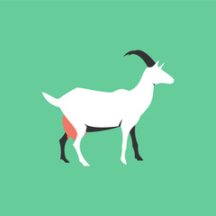 Isolated flat goat. Farm animal cartoon character.
