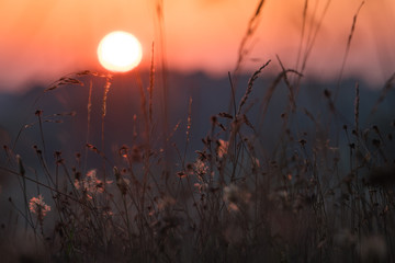The Autumn © Ben.Photoholic