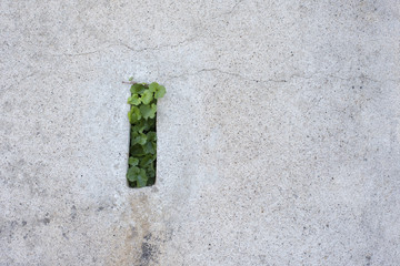 drain de mur de soutènement