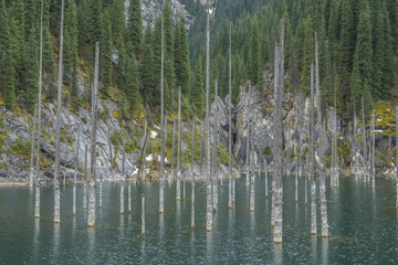 Lake Kaindy in Tyan-Shan mountains, Kazakhstan