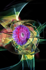 Gerbera, transparent vases, a multi-colored improvization by light in background, refractions