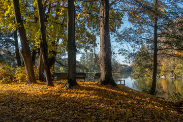 Sunny day in October 2018 at city park Abackarna along Motala river in Norrkoping, Sweden.