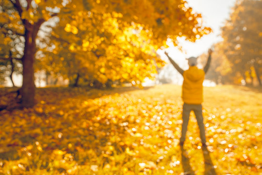 Child surrounded by golden yellow maple foliage in autumn