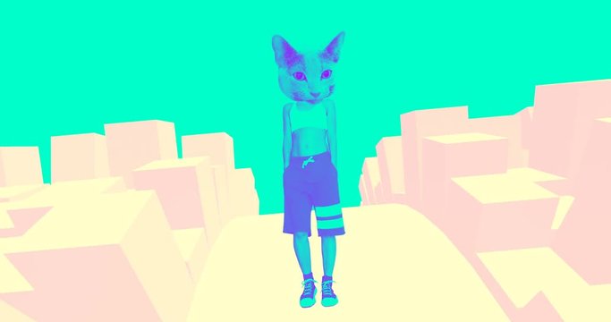 Fashion motion design. Cat in the big city. Urban party vibes