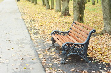 Bench in the autumn park surrounded by yellow leaves