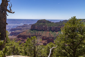 Fototapeta na wymiar Grand Canyon North Rim Panoramic View Arizona