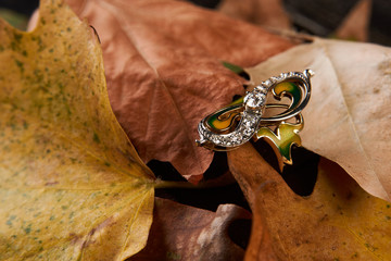 Jewelry gold diamond ring on autumn foliage background with copy space. Elegant engagement diamond...