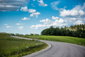 Fototapeta na wymiar Rural landscape with green field, road and cumulus clouds in summer