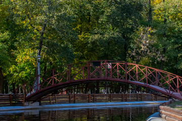 Bridge in the park