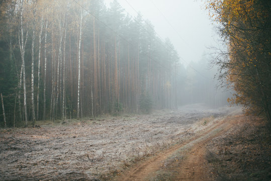 Empty road in countryside with autumn forest in perspective and mist. Green and orange trees.