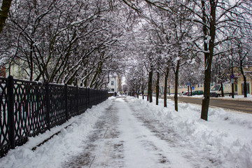 winter streets in the city