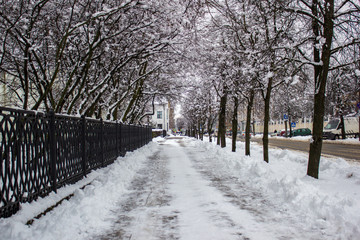 winter streets in the city