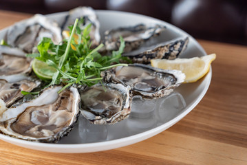 oysters on the ice