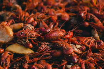 Crawfish