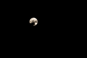 Vollmond von leichten Wolken verdeckt © bobmachee