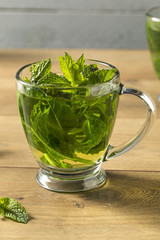 Homemade Hot Fresh Mint Tea
