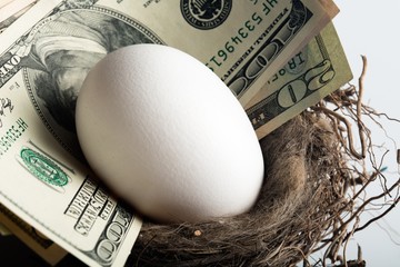 White Egg and Money in Nest Egg - Close Up