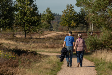 Couple walking hand in hand on a pathway amidst a moorland heather fields and trees such as birches along the way