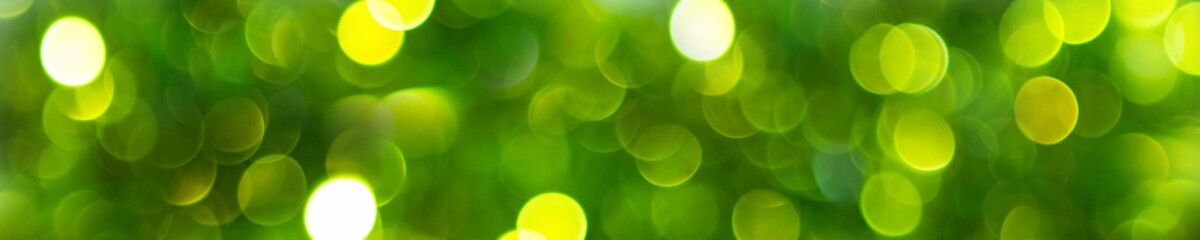 Banner of Defocused abstract green background. Blurred holiday bokeh