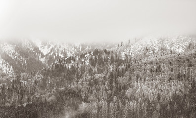 View on winter mountains with forest. Image in black and white color style.