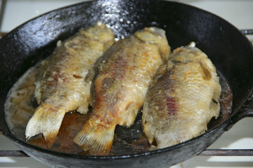 Three fried crucians on pan. Cooking fried fish