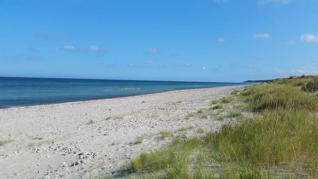 Liseleje Beach by Tisvilde forest and coastal area on the Danish island of Zealand. Sand dunes with reeds. Pristine spring morning with a sunny clear blue sky. Scattered stones.