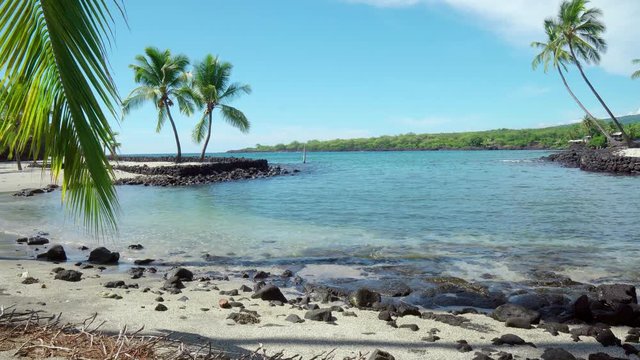 Hawaii, Place of Refuge at Captain Cook, Honaunau, Kona.  Hawaiian Island Vacation at a Rocky beach cove with Crashing Waves and Ocean Waves Crashing on Rocks with Palm Trees.  National Historic Park.