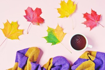 Red and yellow maple leaves, woolen scarf and cup of coffee. Autumn flat lay photo. Fall season mood. Warm and cozy
