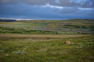 Fototapeta premium Meadow with scenic sky and rock in the foreground near Gullfoss waterfall in summer in Iceland, Europe