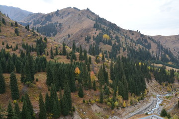 Automne dans les Montagnes de taïga de Shymbulak Kazakhstan