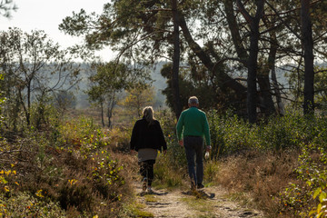 Couple walking together on a pathway amidst a moorland and forest