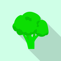 Broccoli icon. Flat illustration of broccoli vector icon for web design