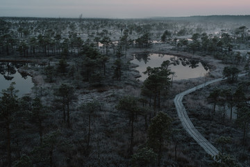 Aerial view of wooden path, road in swamp on early foggy winter morning with trees and grass covered in frost. Kemeri national park sunrise, Latvia. Vintage look.