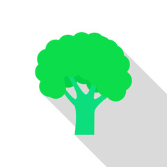 Fresh broccoli icon. Flat illustration of fresh broccoli vector icon for web design