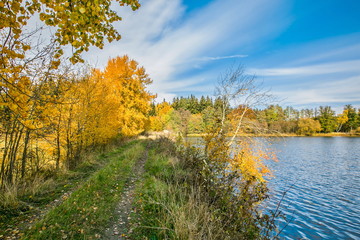 Scenic autumn landscape, bright colorful sunny day, blue sky, white clouds, birch trees with yellow leaves, lake with waves, green and dry grass, track on embankment