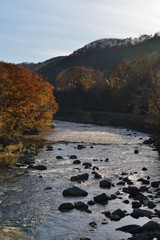 紅葉の川辺
