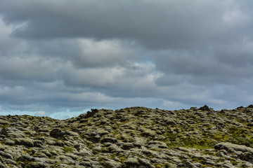 Typical Icelandic landscape with lava stones covered by green moss and dramatic sky