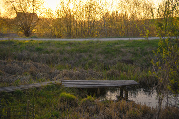 Wooden path over small pond in garden in early spring in sunset. Pond for watering gardens.