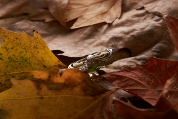 Jewelry gold diamond ring on autumn foliage background with copy space. Elegant engagement diamond ring as  love and wedding concept, close-up