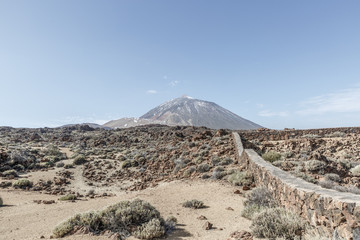 Desert landscape in front of the Teide volcano in the Teide national park