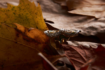 Jewelry gold diamond ring on autumn foliage background with copy space. Elegant engagement diamond ring as  love and wedding concept, close-up